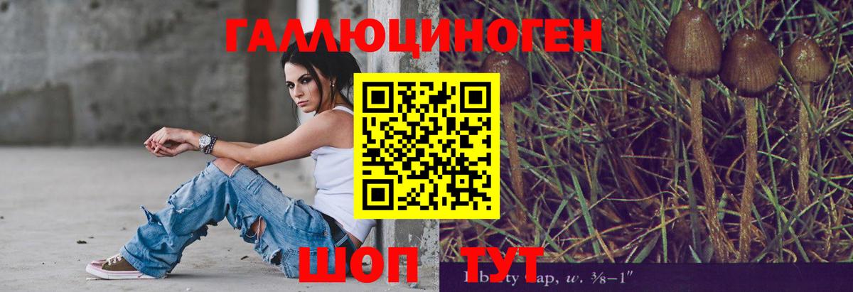 Галлюциногенные грибы MAGIC MUSHROOMS  Вход с VPN  Коммунар 
